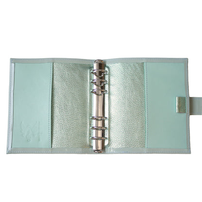 Planer Glossy Mint