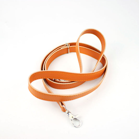 Riemen Orange